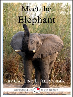 cover image of Meet the Elephant
